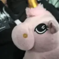 Unicorn Logo