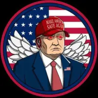 MAKE AMERICA SAFE AGAIN Logo