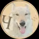 WolfDog