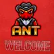Ant inu