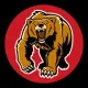 Bearcoin