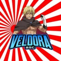 VeldoraBSC Logo