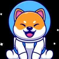 Hachiko BSC Logo
