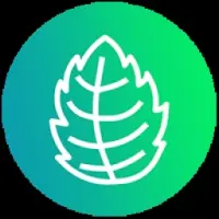 Minswap Logo