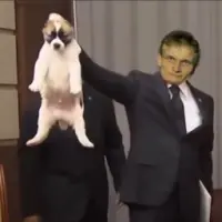 Vitalik Hates Dogs Logo