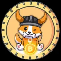 Bitfloki Logo