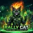 Rally-Cat Logo