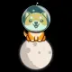 MoonPuppyDoge