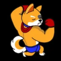 Rocky Doge Logo