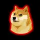 TurboDoge