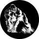 DogeApe BSC