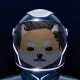 Spacelon X