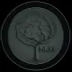 Neurinx