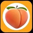 Pornrocket Logo