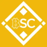 Bitcoin Smart Chain Logo
