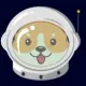 DogeToshi