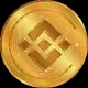 BNB GOLD COIN
