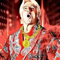 Ric Flair BTC Logo