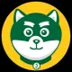 Jade Shiba Inu