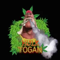 Hulk Togan Logo