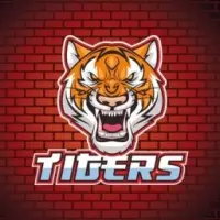 TIGERS Coin Logo