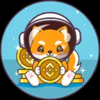 BNBBabyDoge Logo