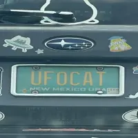 UFO Cat Logo