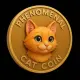 Phenomenal Cat