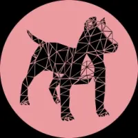 FidoRise Logo