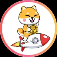 Nasa Shiba Logo
