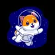 Shiba Bnb