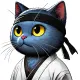 Karate Cat