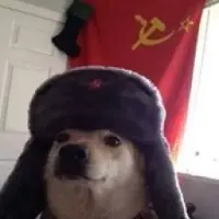 SocialistDoge Logo