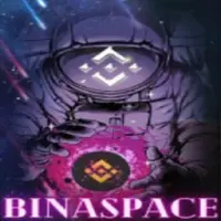 BinaSpace Logo
