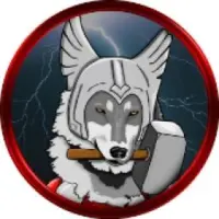 Thor INU Logo