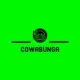 Cowabunga