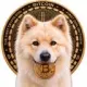 BUDDY First Crypto Dog
