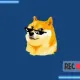 DogeCams