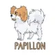 PAPIL