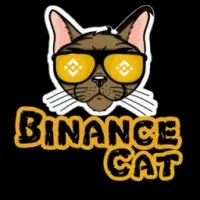 Binance CAT Logo