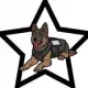 K 9 Dog