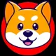 Shiba Nation