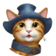 PussFi