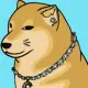 Diamond Cheems Inu