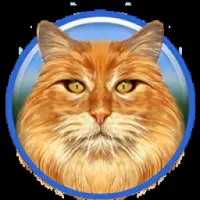 Ragdoll Cat NFT Logo