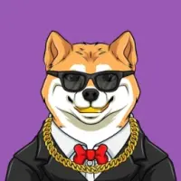 Flokibillionaire Logo