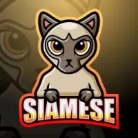 BABY SIAMESE Logo