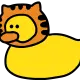 cat duck