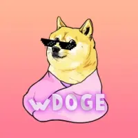 Wrapped Doge Logo