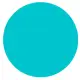 Canva Coin